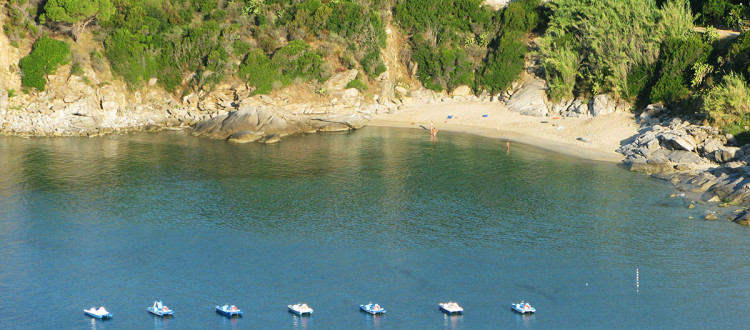 Cavoli Isola d'Elba