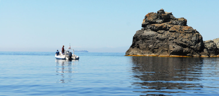 Fetovaia Isola d'Elba