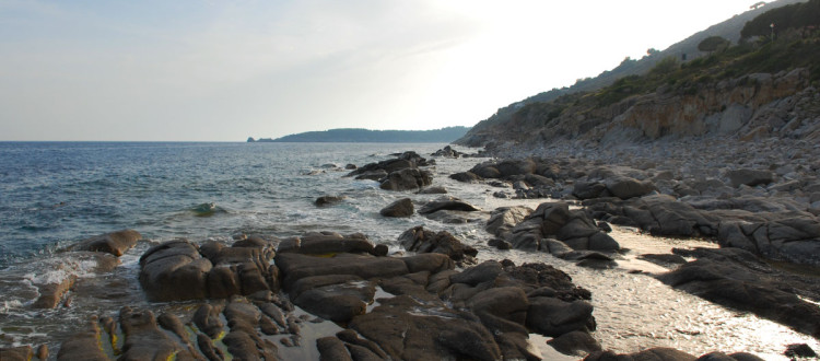 Seccheto Isola d'Elba