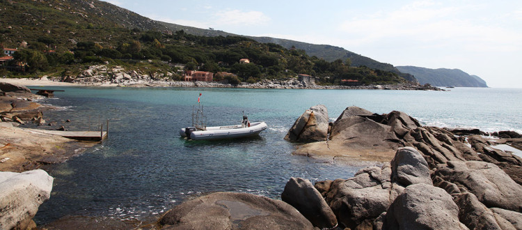 Seccheto Isola d'Elba